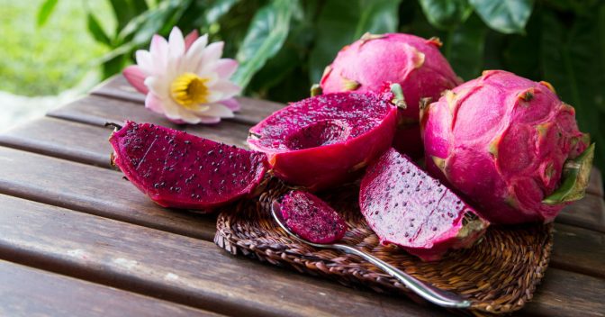 Frutas e Seus Benefícios: Pitaya Vermelha é uma ótima aliada para a saúde; veja benefícios