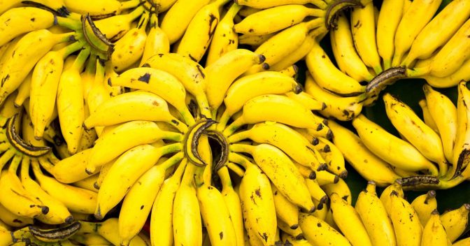 GUIA das Dietas. Tudo Que Você Precisa Saber!!: Tipos de banana: Qual é a mais nutritiva e saborosa para cada ocasião?