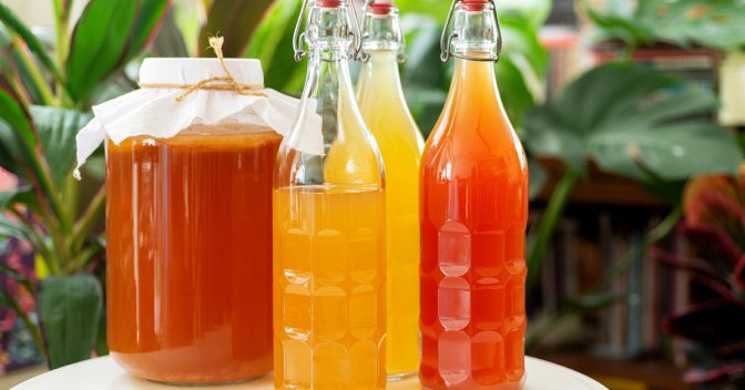 Qualidade de Vida: Kombucha: a bebida que está dando o que falar no mundo fitness!