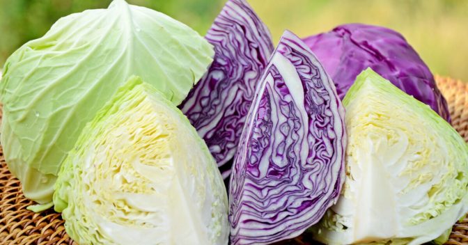 Verduras, Legumes e Seus Benefícios: Repolho roxo ou repolho branco: Qual deles é melhor para você?